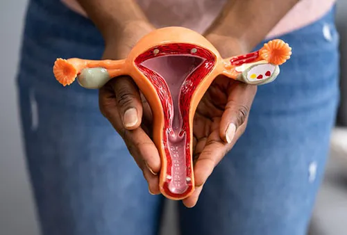 Home 15 Dr KE Kabala hysterectomy home Dr KE Kabala Home